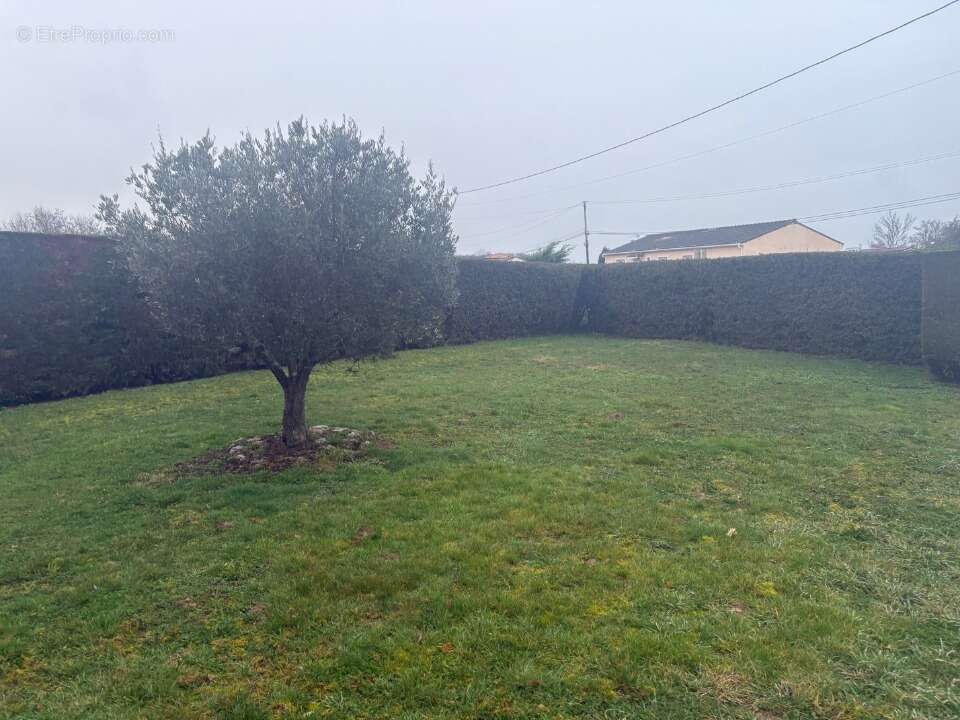 Terrain 550 m² à Montbartier  - photo 3