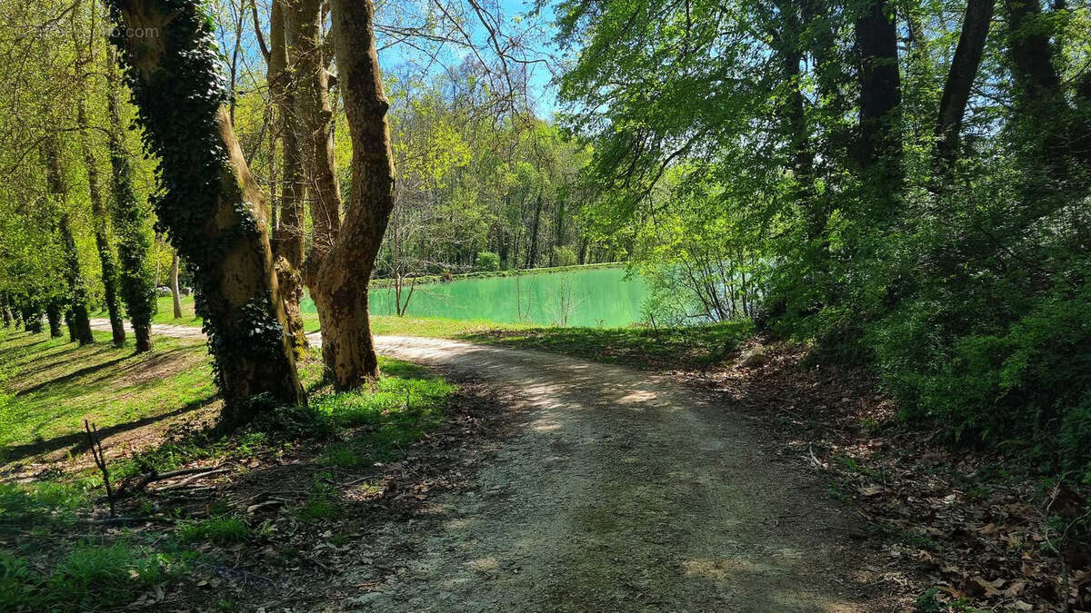 Très beau château datant du XVI ème entièrement rénové au milieu de 50 hectares et ses trois lacs situé dans l - photo 73