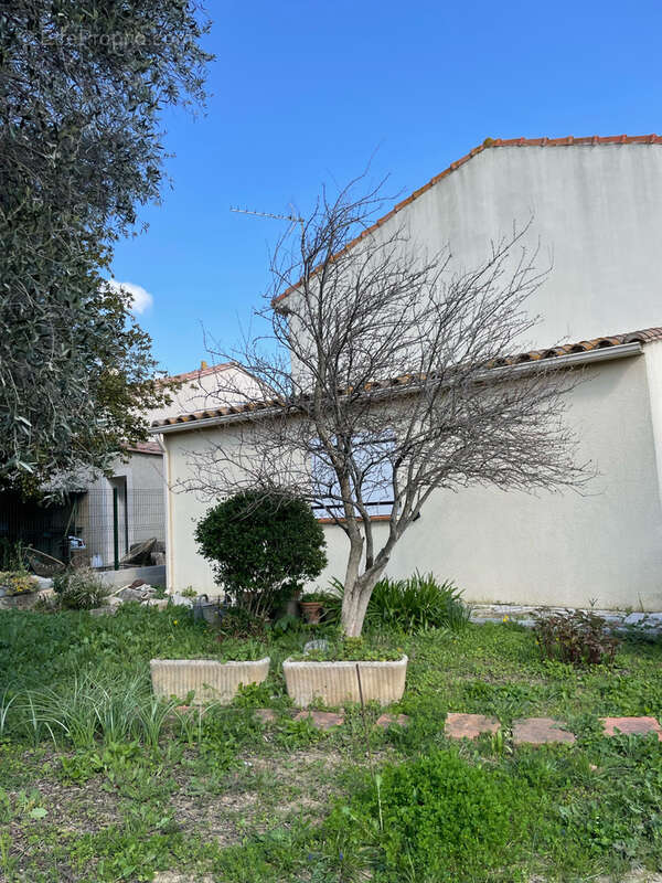 Maison à LUC-SUR-ORBIEU
