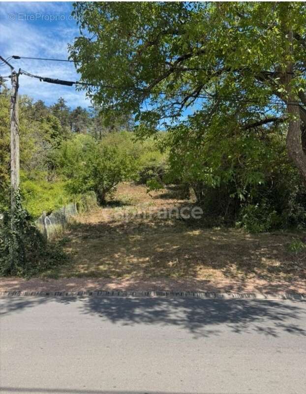 Terrain à vendre  VAUX (89) - photo 3