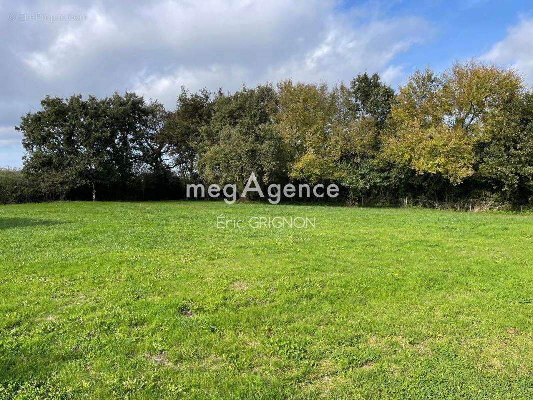 Maison à NIEUL-LE-DOLENT