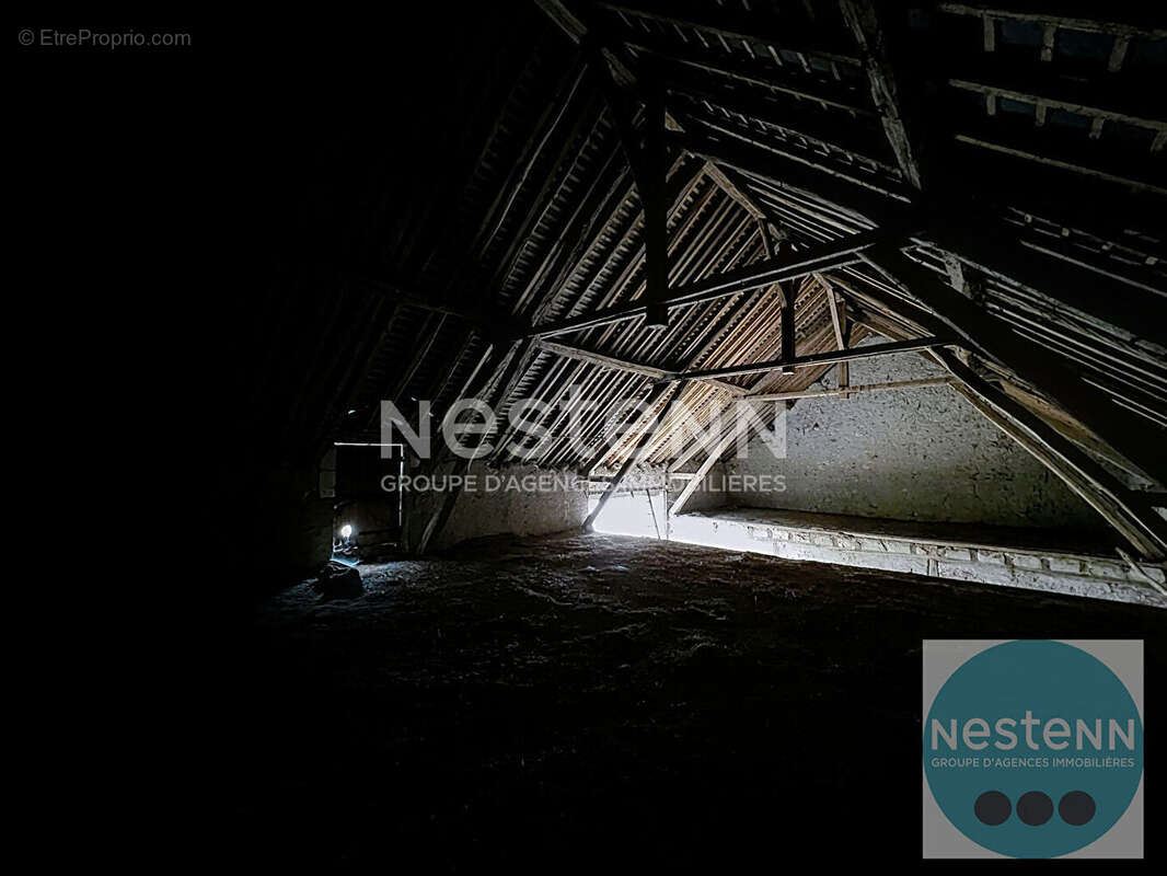 Chouzy sur Cisse - Longère de 206 m² à réhabiliter - combles aménageables - 3800 m² de terrain - photo 4