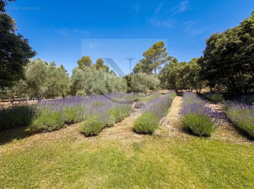Aix-en-provence / grande bastide familiale d’exception - photo 28