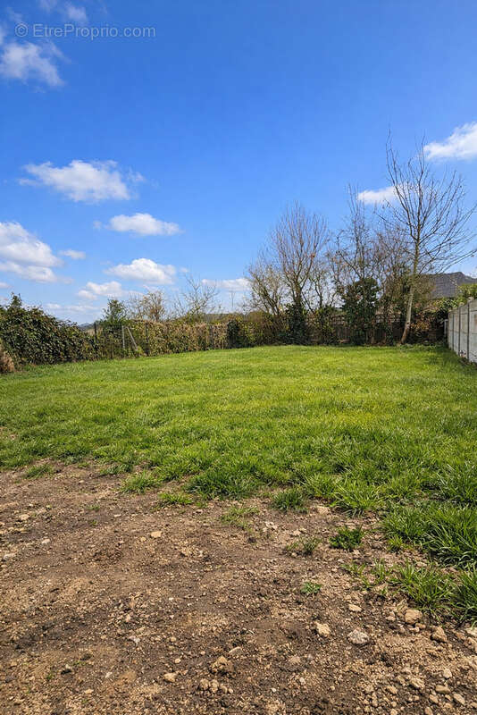 Maison à CALONNE-RICOUART