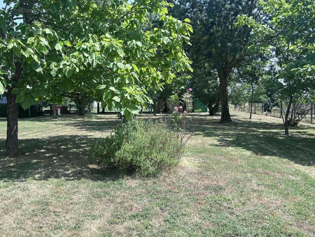 Terrain à BONREPOS-SUR-AUSSONNELLE