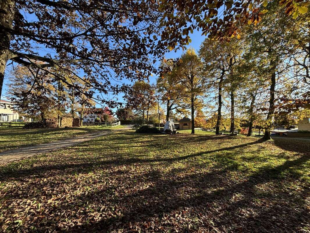 Terrain à CRUSEILLES