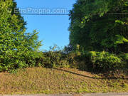 Terrain à SIGNY-LE-PETIT