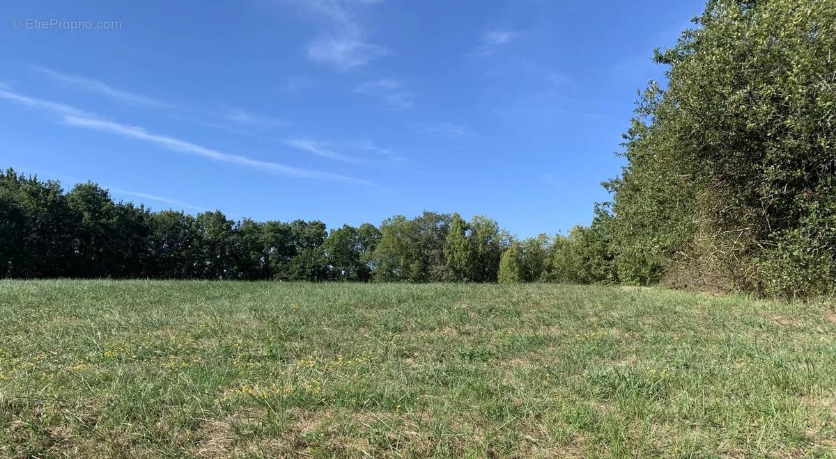 Terrain à POUYASTRUC