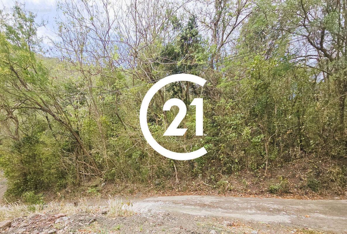 Terrain à LES ANSES-D'ARLET