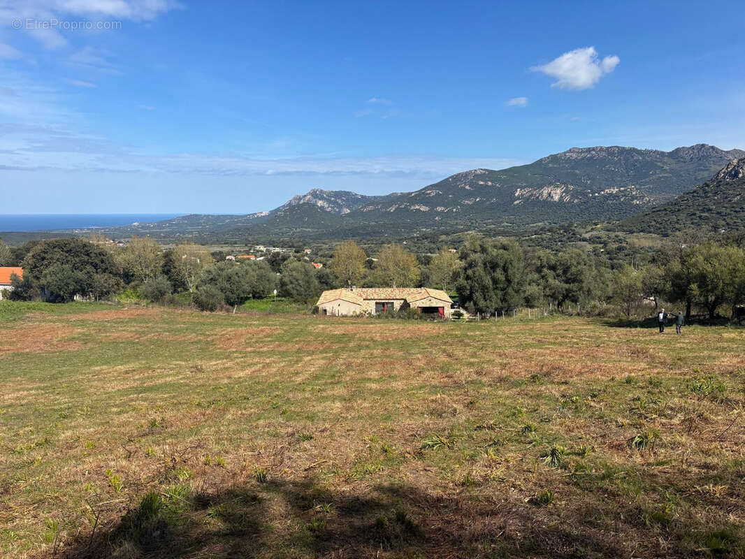 CALENZANA - Vente terrains à bâtir- Lotissement BIANCA - photo 5