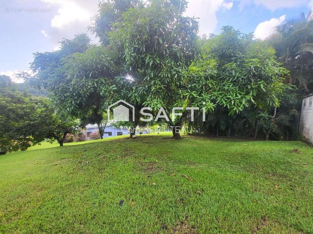 Maison 260 m² à Ducos  - photo 5