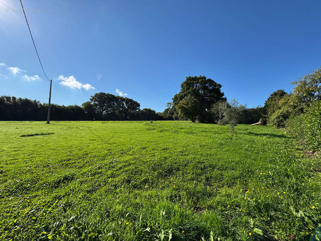 Maison à BRICQUEBEC
