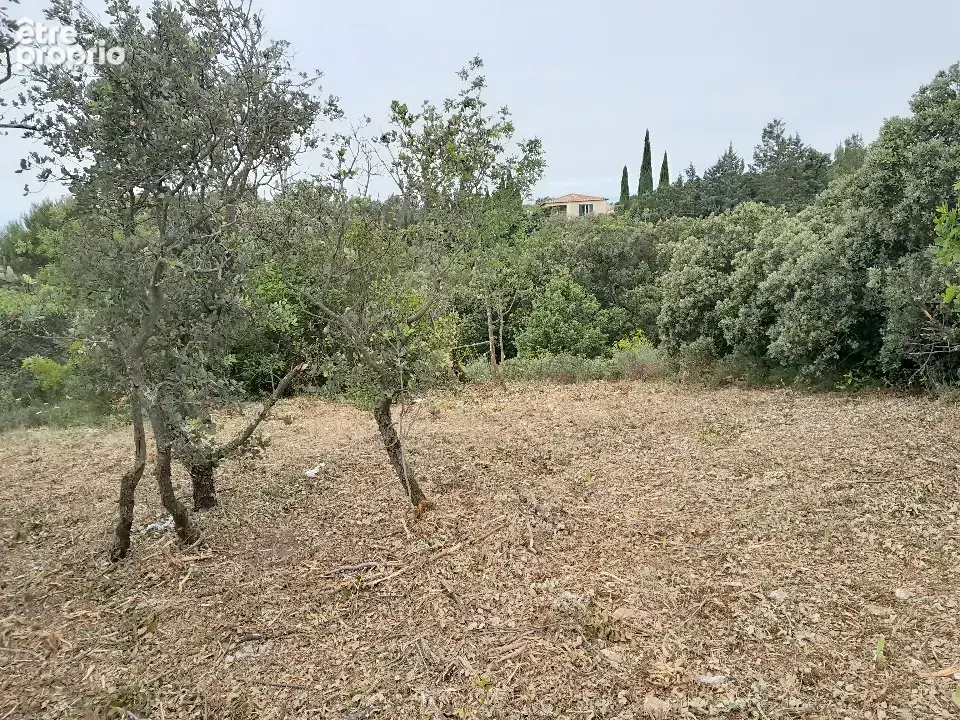 Terrain 465 m² à Villeneuve-Les-Avignon  - photo 4