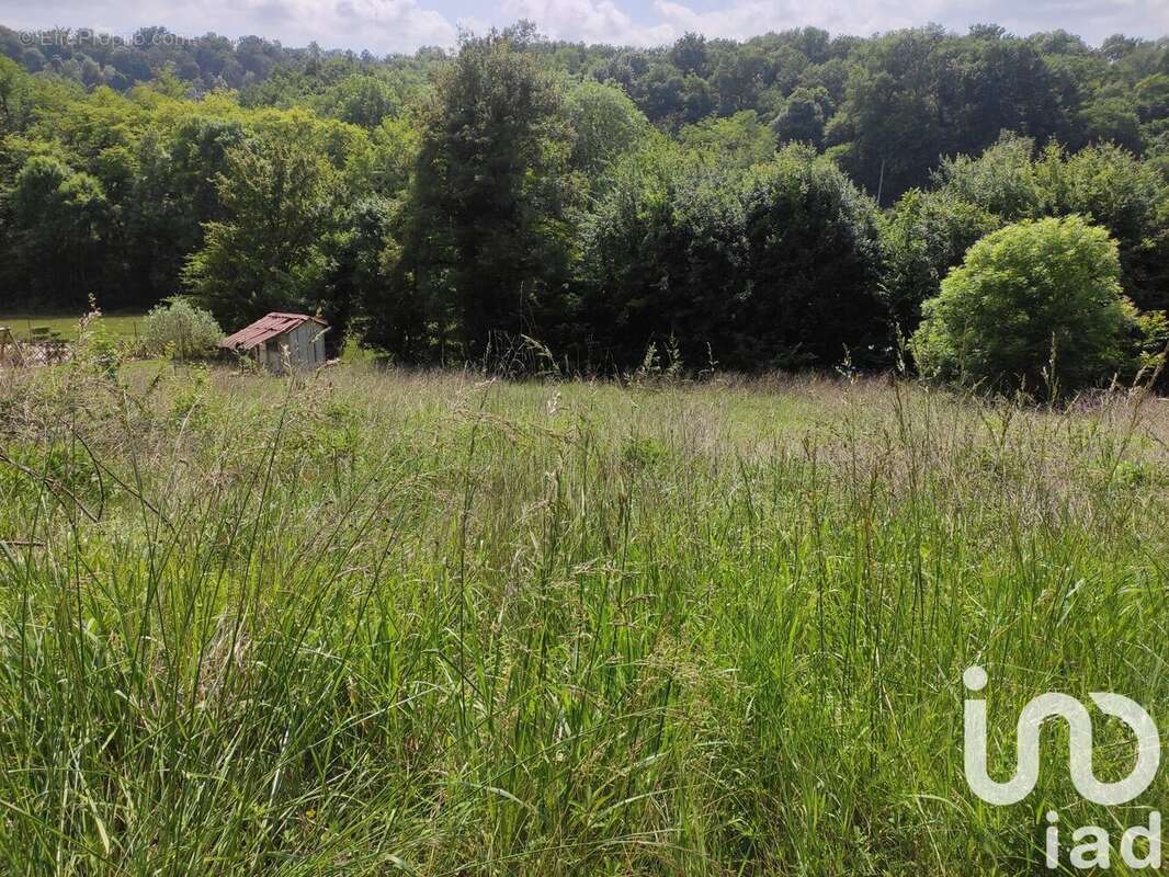Photo 2 - Terrain à PONT-DU-CASSE