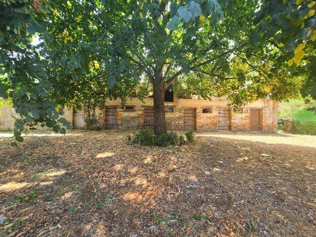 Maison 221 m² avec terrain de 5 000 m² - Mouliherne (49390) - photo 2