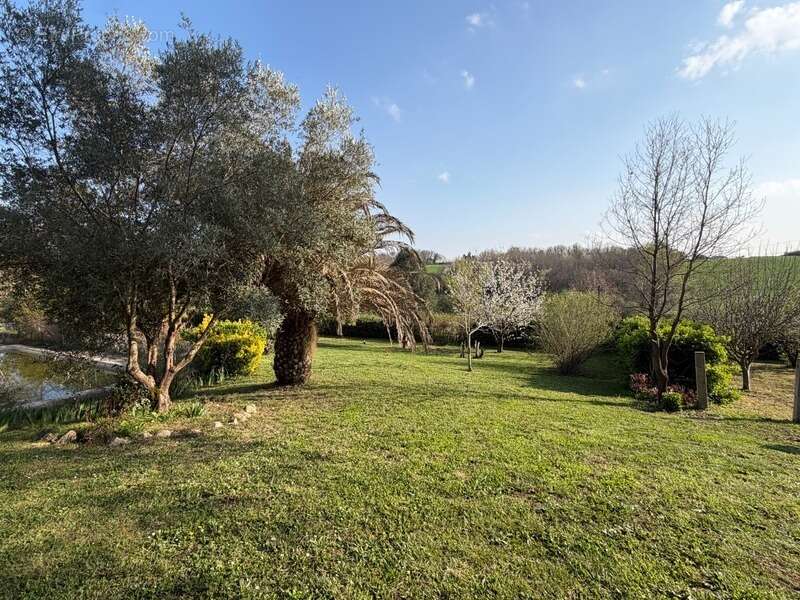 Terrain à MAUZAC