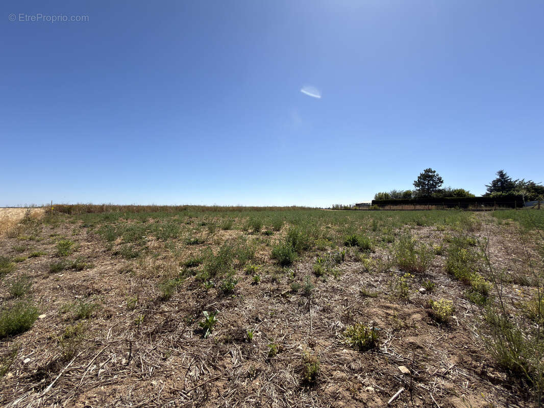 Terrain a batir - sainville - photo 4