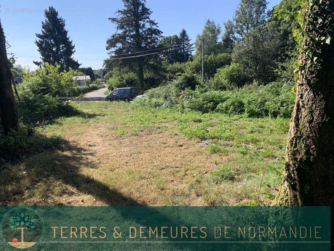 Dans le CALVADOS, secteur de VIRE (14500) A vendre bois de 3ha 69 a d'un seul tenant - photo 4