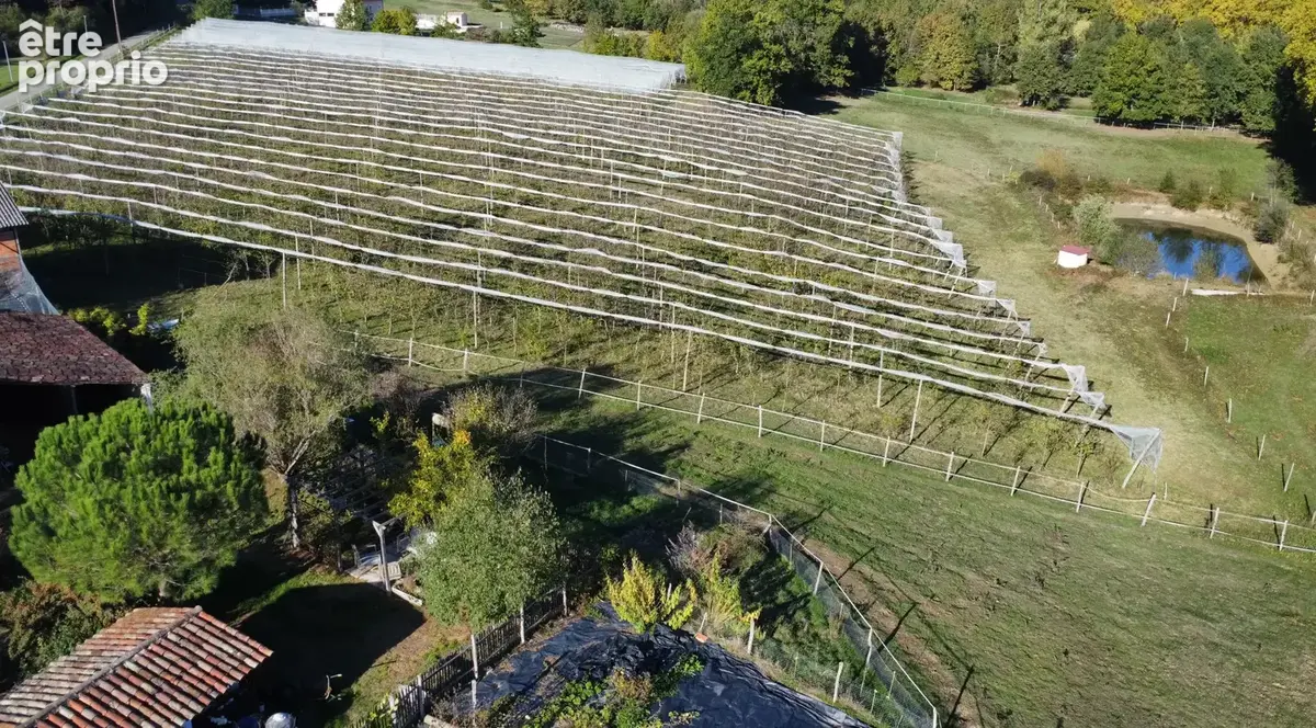 Propriété de caractère de 168 m2, dépendances, 3,5 hectares de terrain dont 1,2 hectares de vergers biologique - photo 16