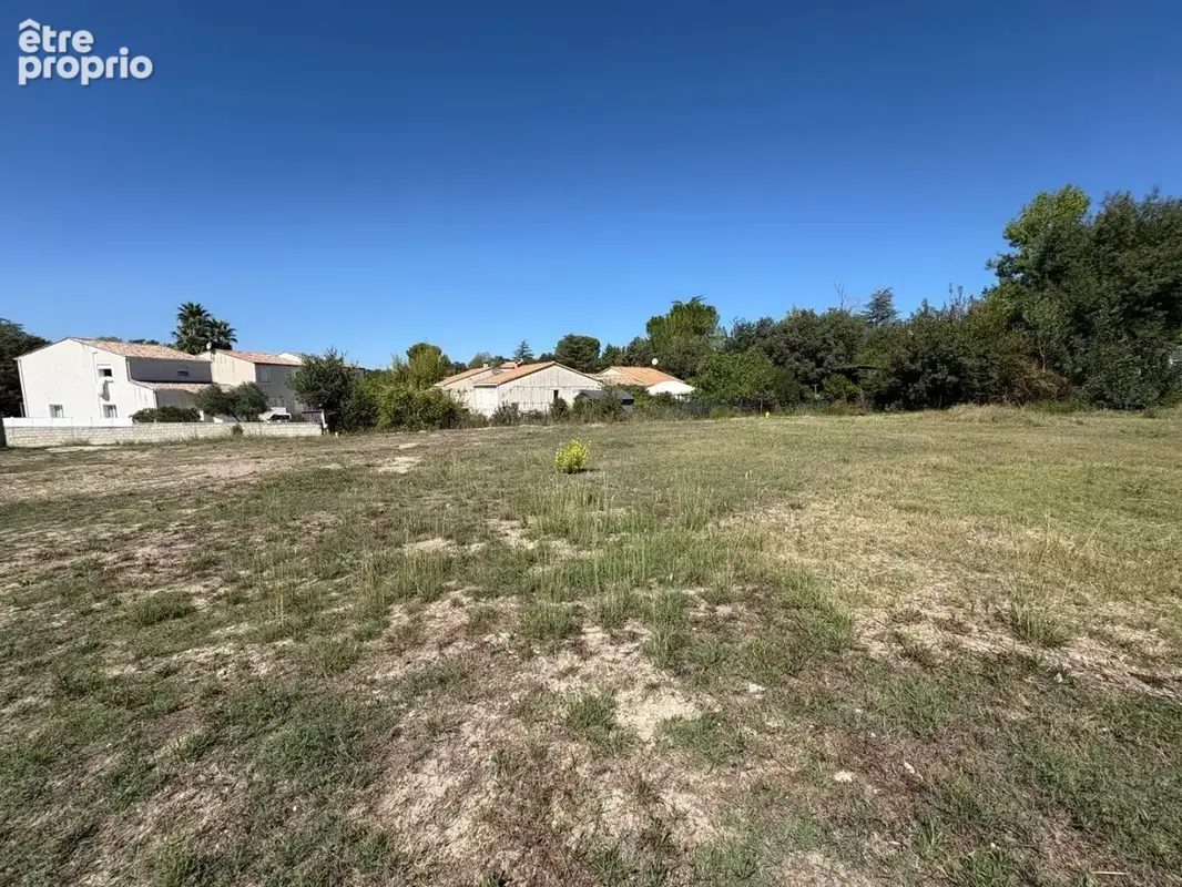 Terrain prochge de la garrigue ! - photo 3