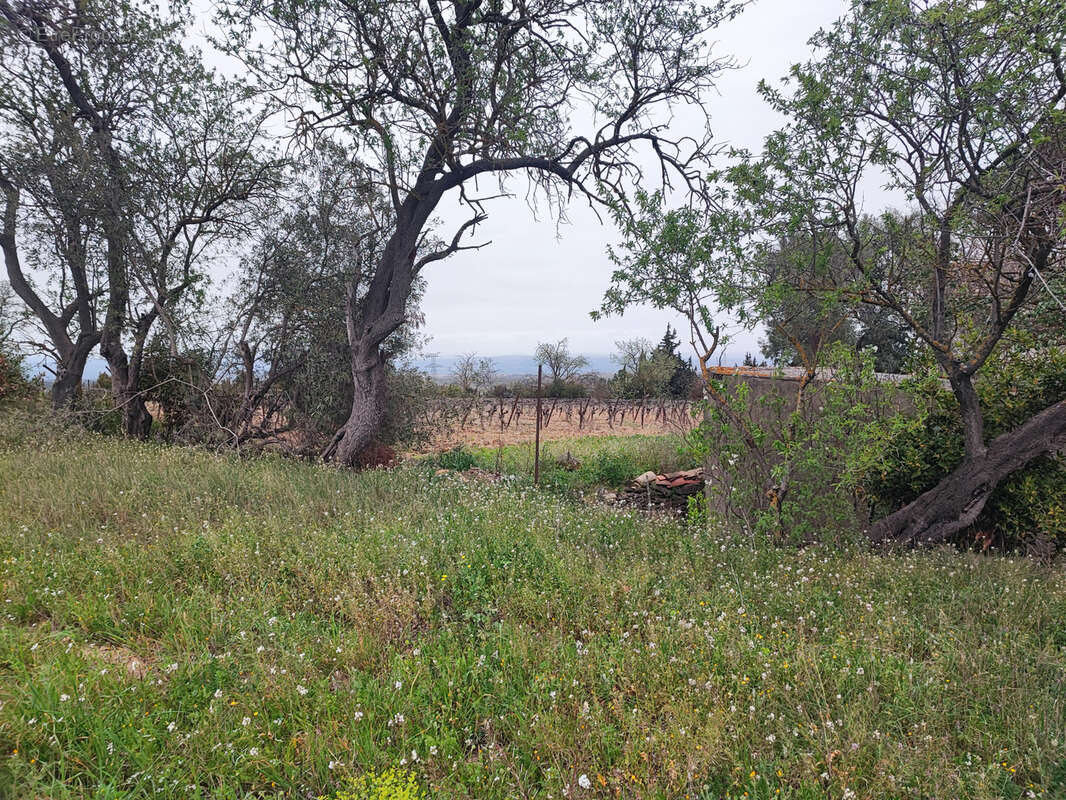 Terrain à CASTELNAU-D&#039;AUDE