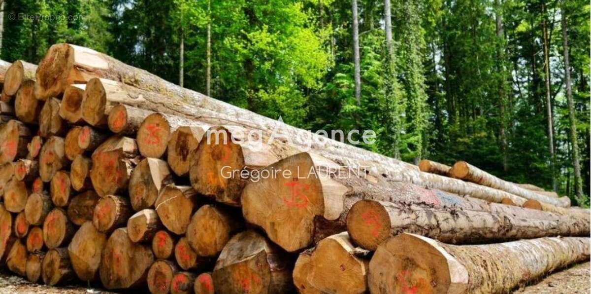 Terrain à LANDEVANT