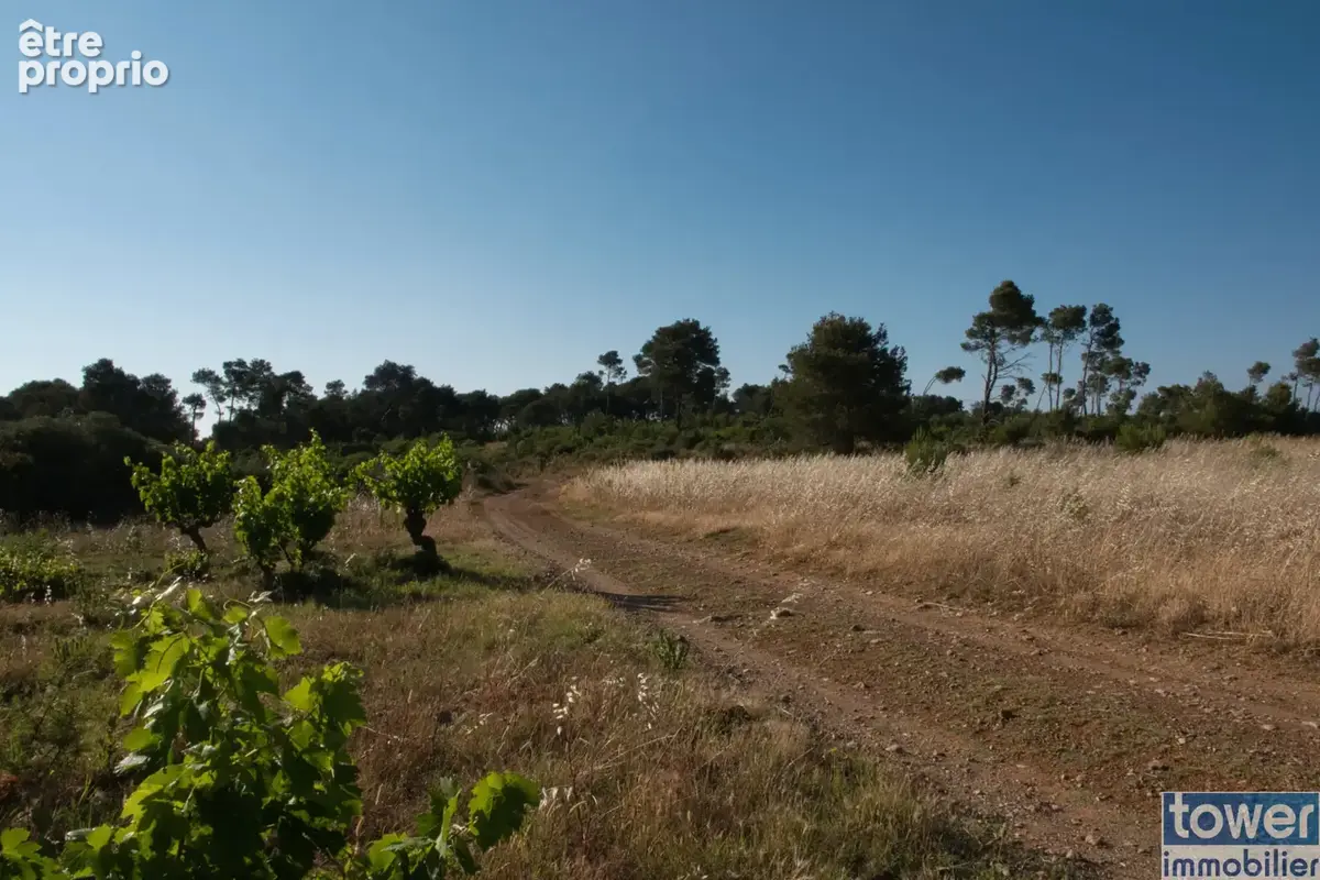 Fabrezan-Terrain 4 ha non constructible en Zone Naturelle - photo 19