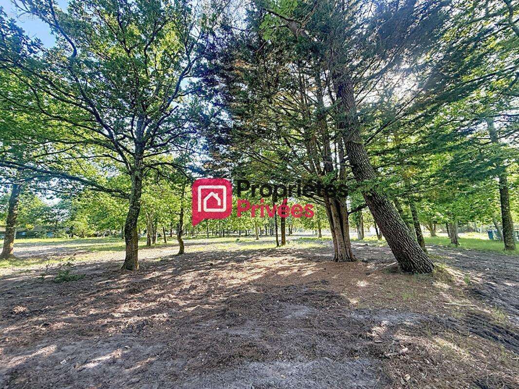 Hourtin port - terrain constructible et viabilise - photo 9
