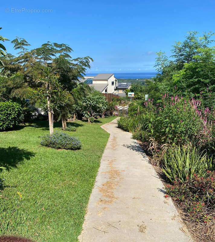 Terrain à SAINT-PAUL