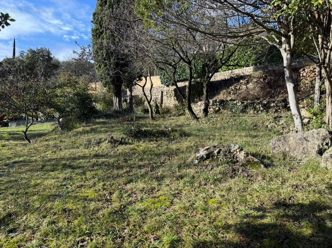 Terrain à LODEVE