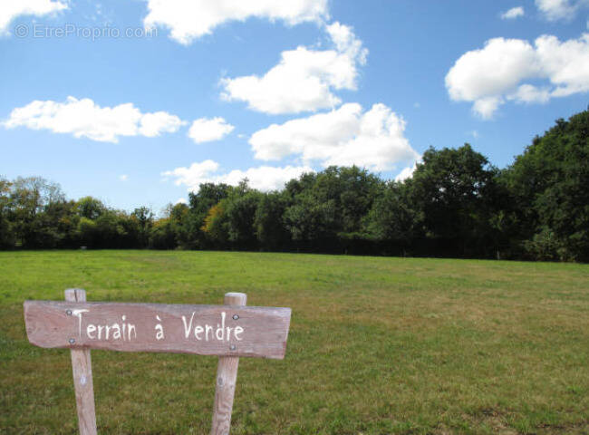 Terrain à LE TEICH