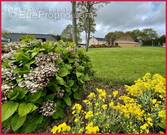 Terrain à SAINT-AUBIN-DES-CHATEAUX