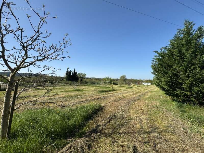Terrain de loisirs de 2600m² à vendre à COLLIAS (30) - Environnement naturel privilégié - photo 6