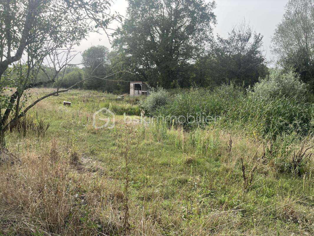 Terrain de 7084 m2 dont 600m2 constructible avec un plan d'eau - photo 4