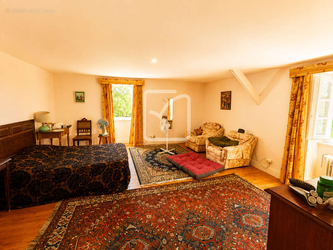 Maison T5 avec piscine, 4 chambres - étang - dépendances et plus de 2,14 hectares de terrain - Un cadre de vie - photo 23