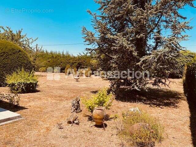Maison 167 m² à Saint-Saturnin  - photo 2