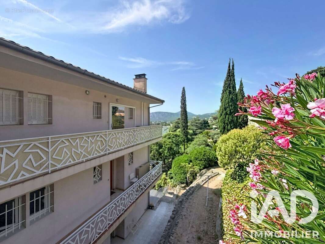 Photo 9 - Appartement à MANDELIEU-LA-NAPOULE