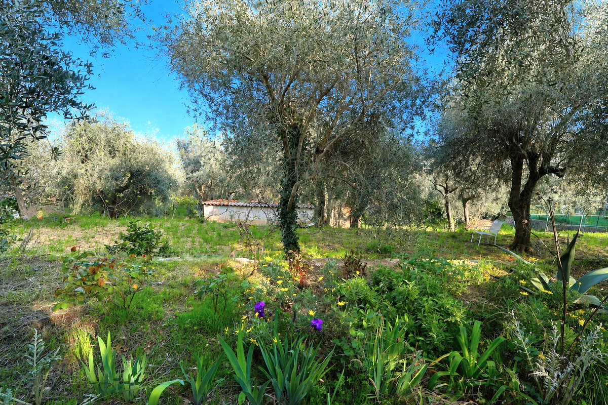 Terrain à SPERACEDES