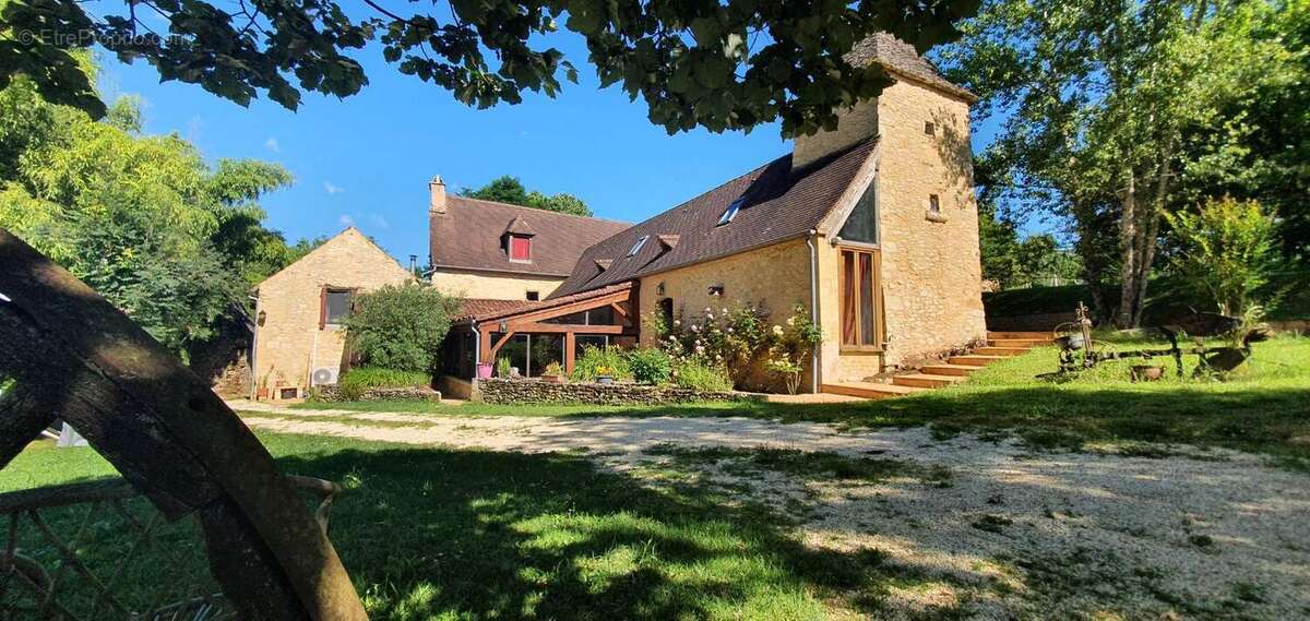 Maison 550 m² à Les Eyzies-De-Tayac-Sireuil  - photo 472