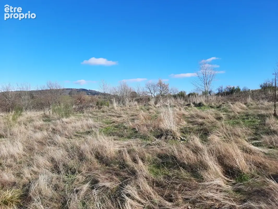 Terrain à THIERS