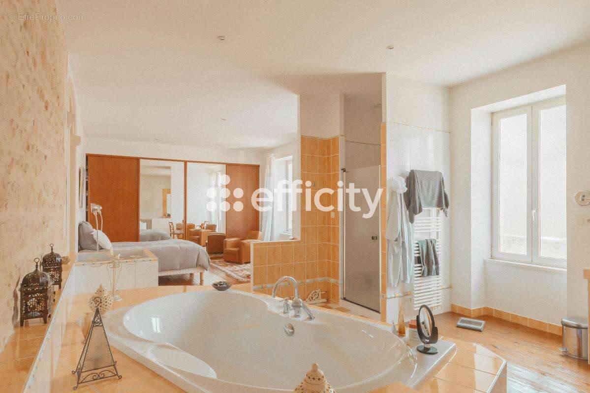 Maison 255 m² à Fontenay-Le-Comte  - photo 12