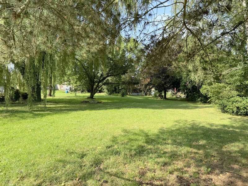 Proche lac de Pierre-Percée et Lunéville, maison entièrement rénovée de plus de 190 m² avec gros potentiel ! - photo 4