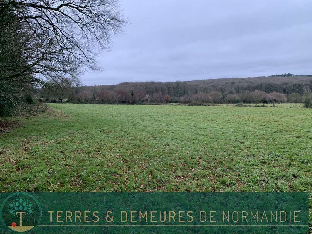 Terrain à SOURDEVAL