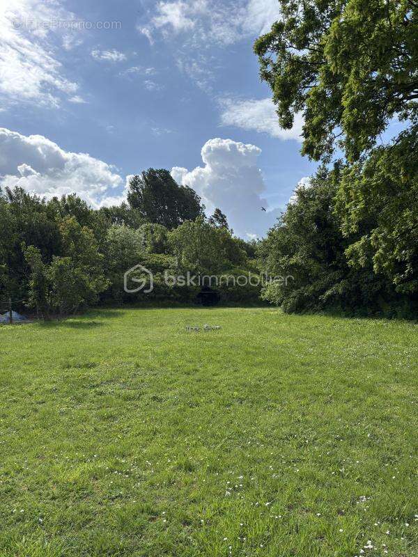 Maison de plain-pied située à Connantre - photo 13