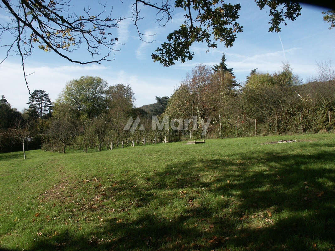Terrain 3600 m² à Gif-Sur-Yvette  - photo 2