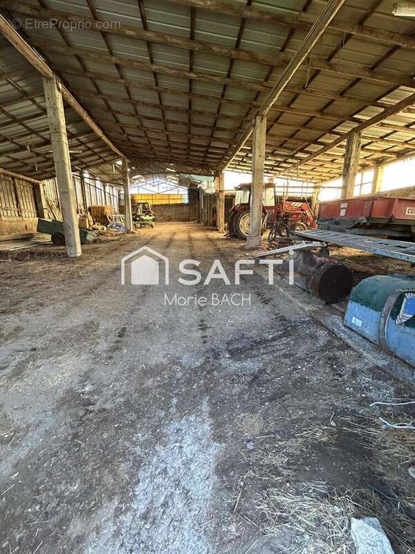 Photo 9 - Maison à ALTWILLER