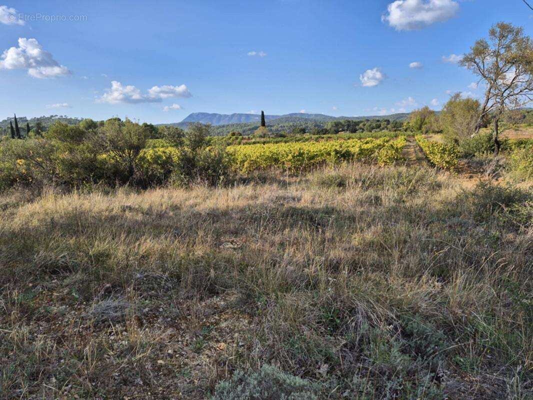 Terrain à MONTFORT-SUR-ARGENS