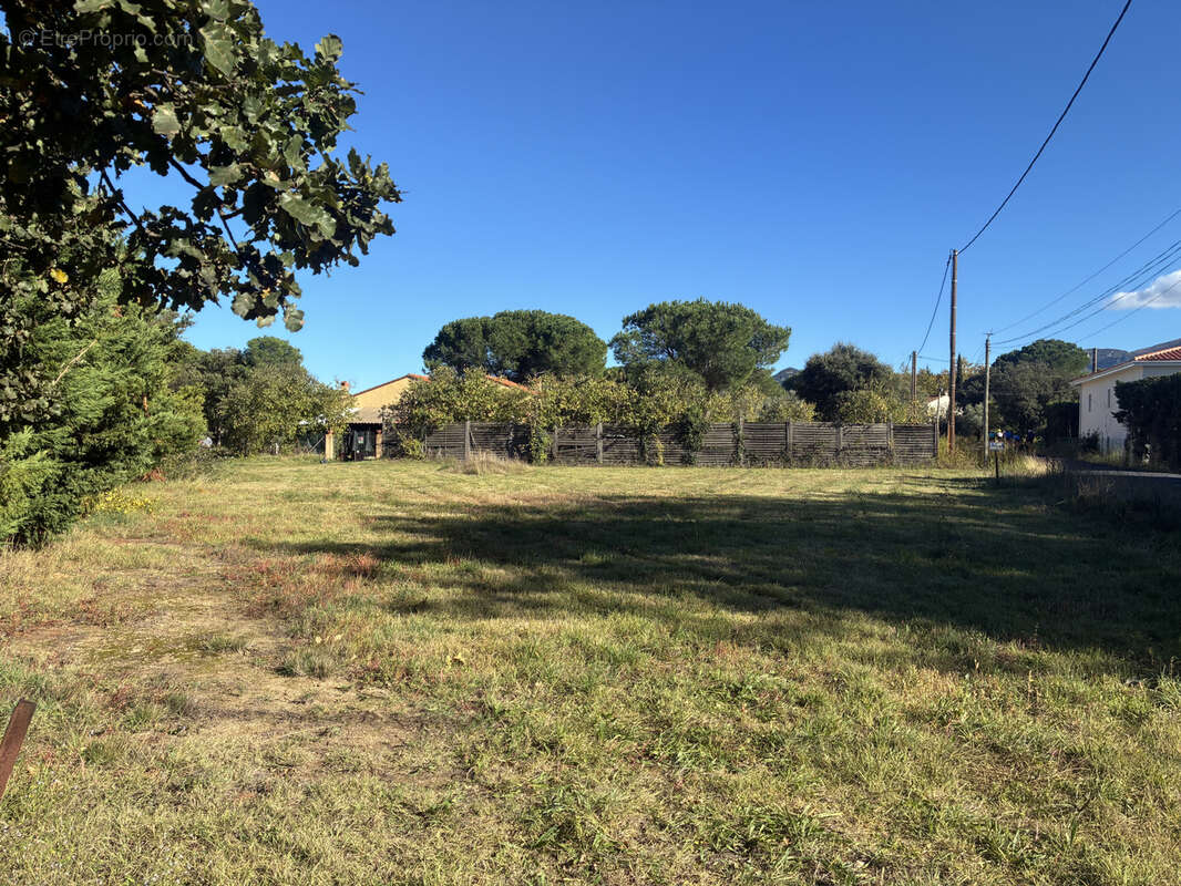 Terrain à LAROQUE-DES-ALBERES