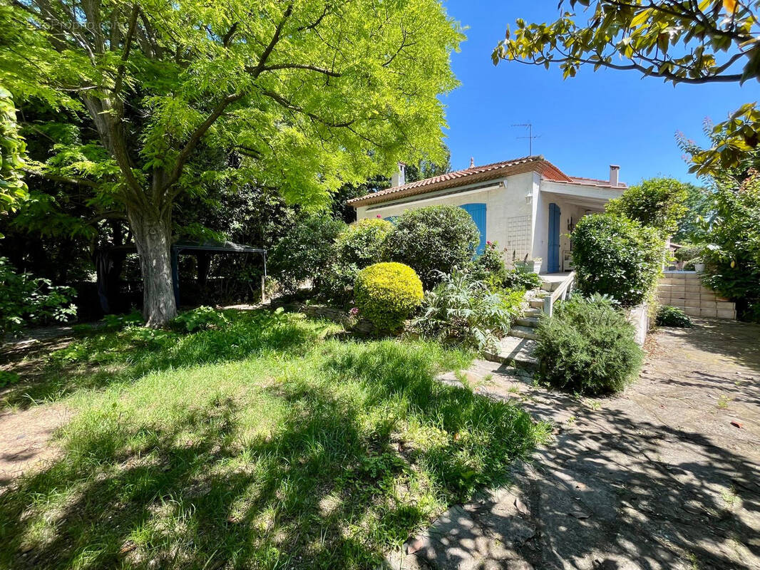 Maison à MONTPELLIER