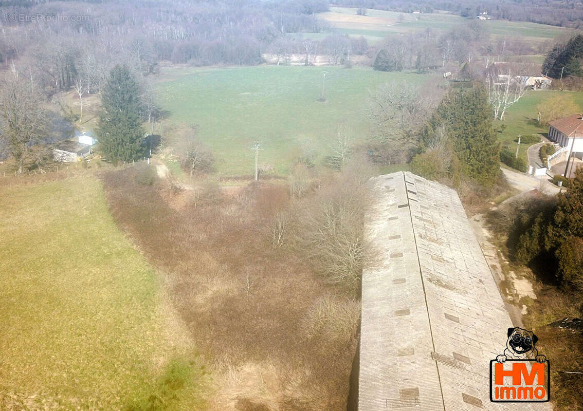Terrain à LE CHALARD